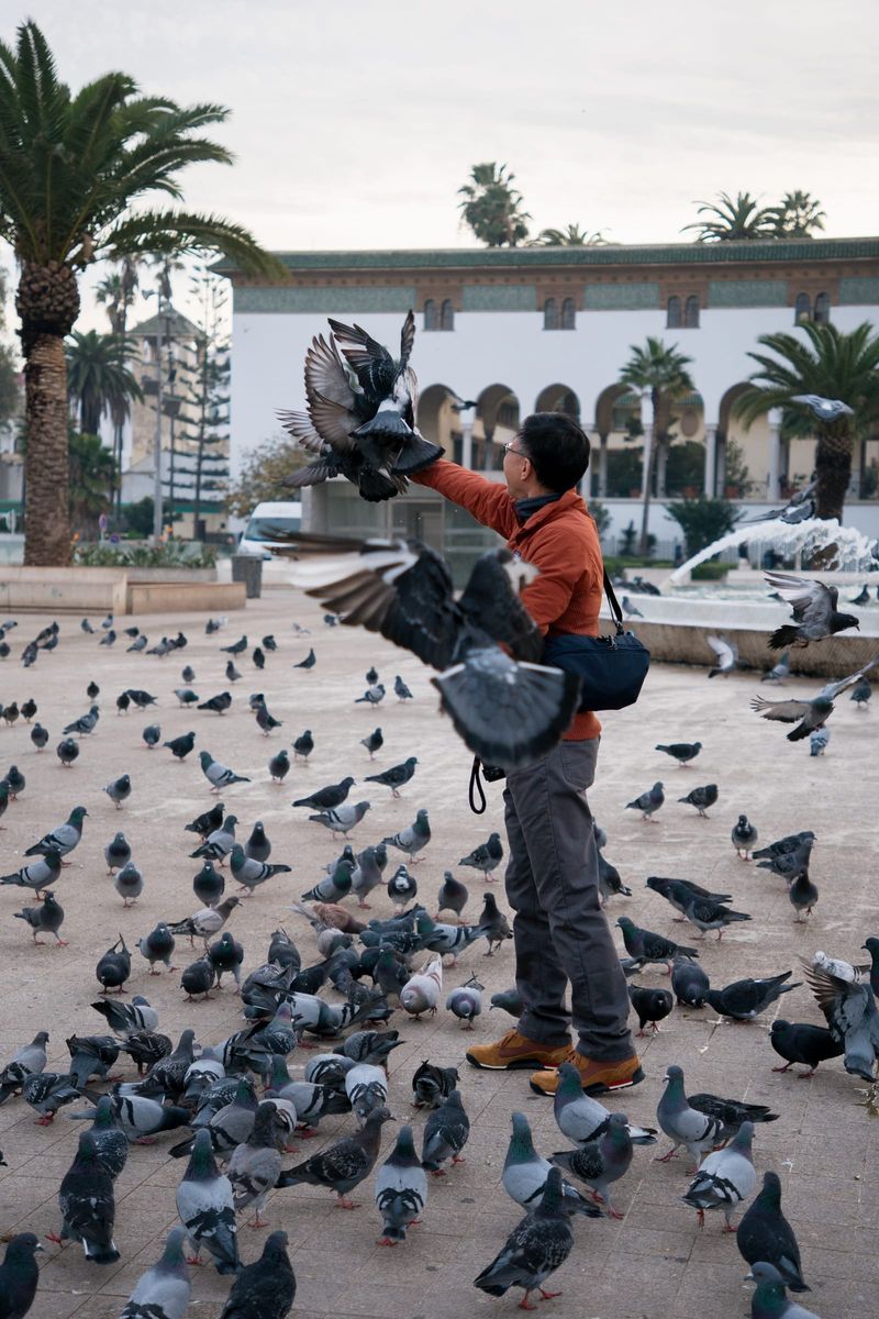 KXU 20251219 Morocco 175