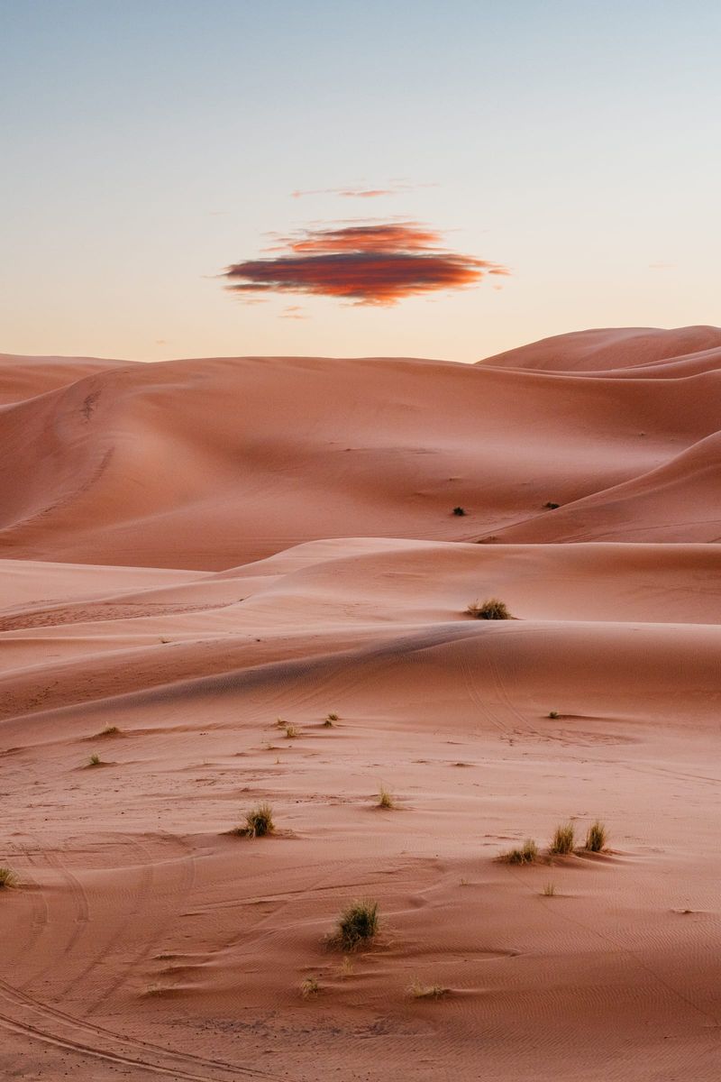 KXU 20251223 Morocco 439 HDR