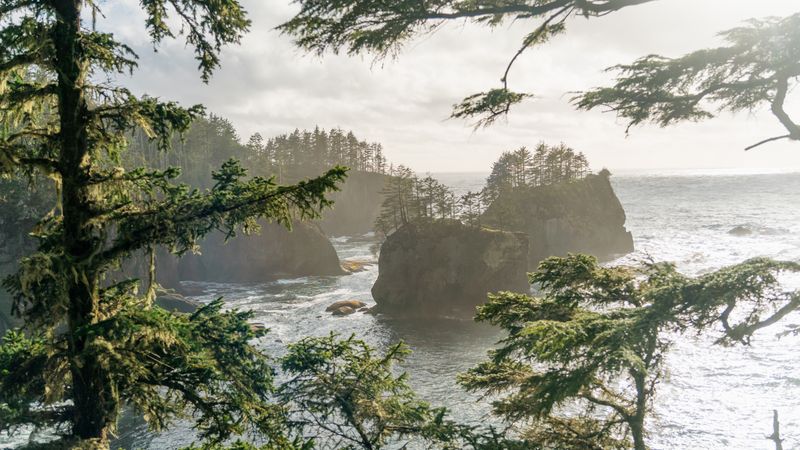 KXU 20250419 OlympicPeninsula 044