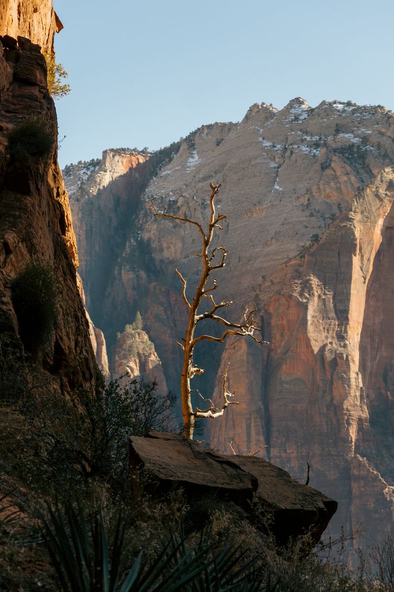 KXU 20240228 MCCRedRockCanyon 229