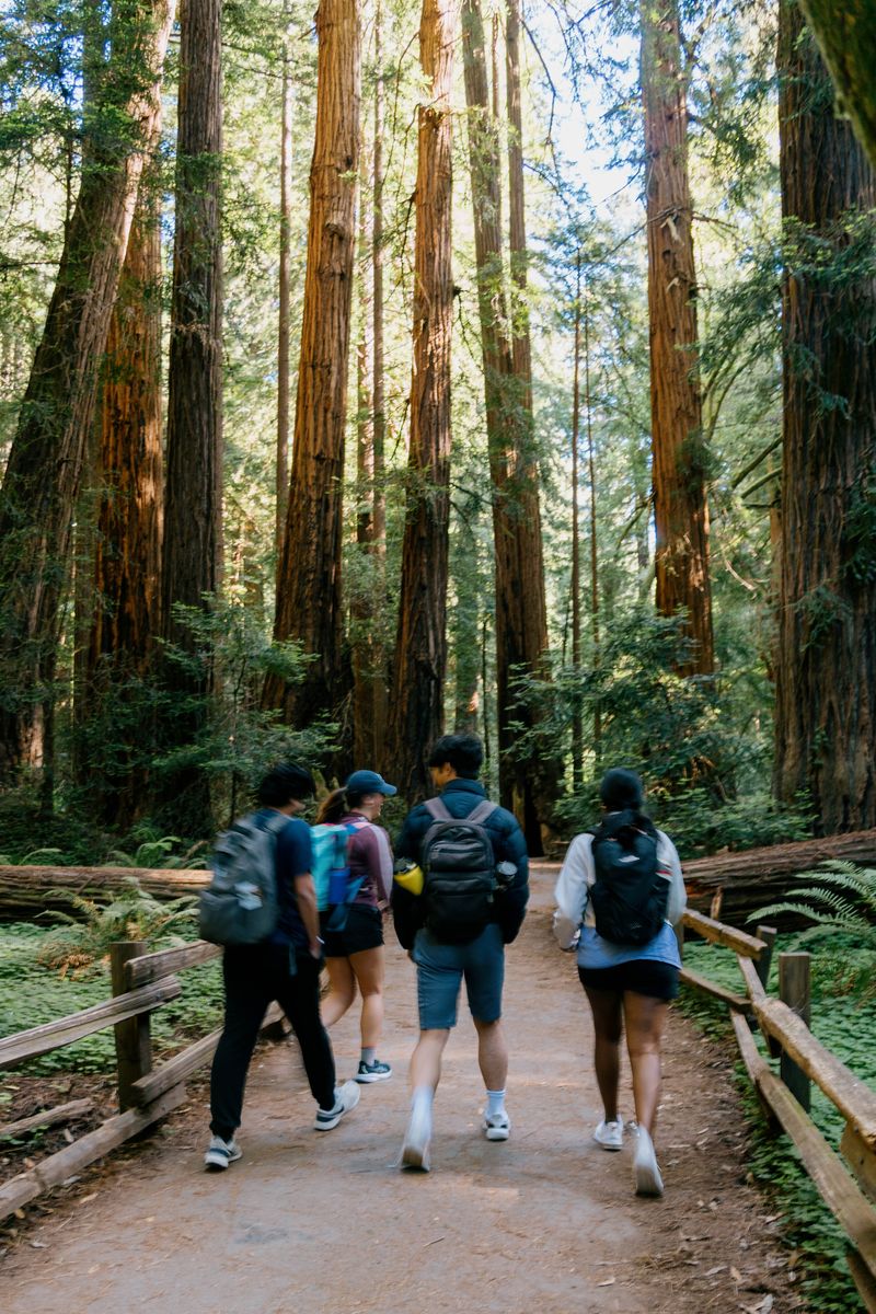 KXU 20240615 MtTam 003